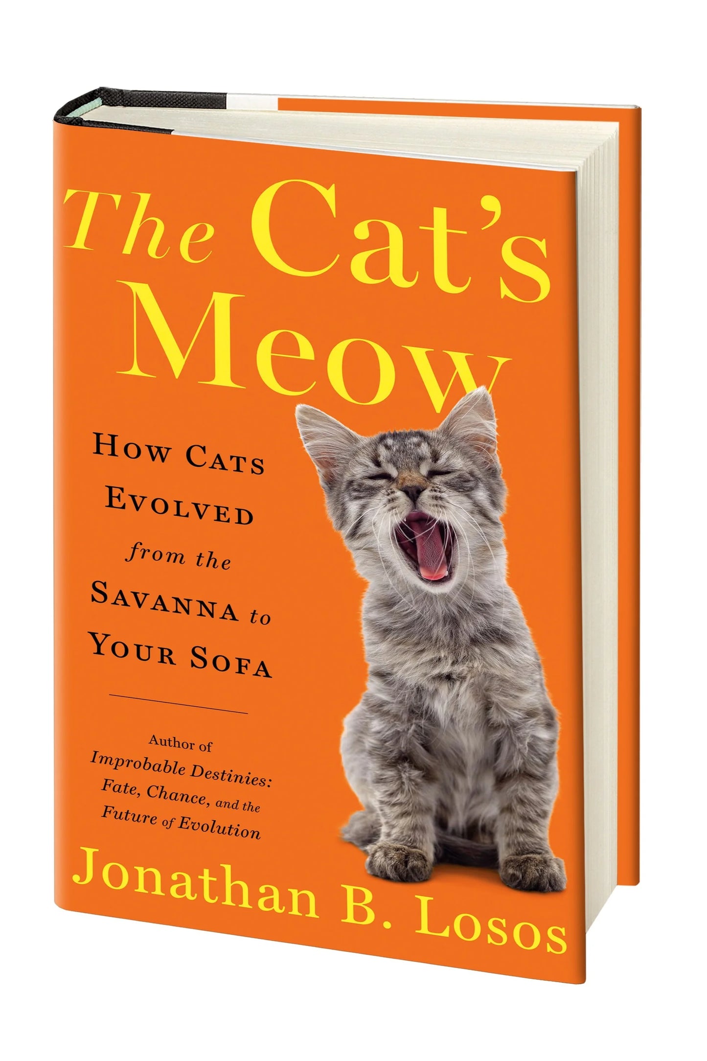 The Feline Longevity Guide